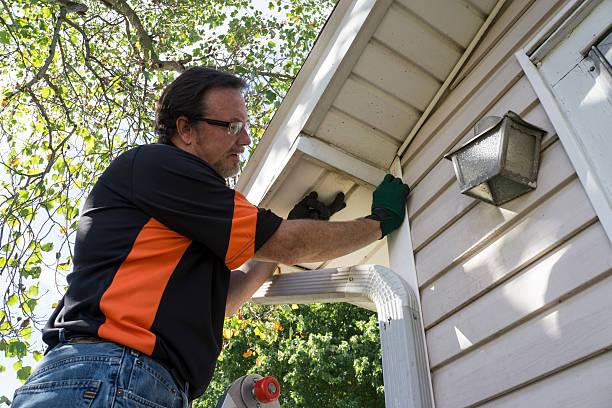 Reliable Somers, WI Siding Services Solutions